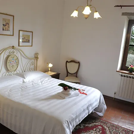 Schiatti Кортона